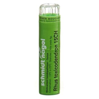 SN Rhus Toxicodendron Gran CH 15 4 g