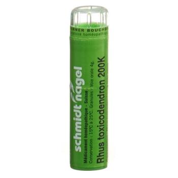 SN Rhus Toxicodendron Gran 200 K 4 g