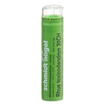 SN Rhus Toxicodendron Gran CH 30 4 g
