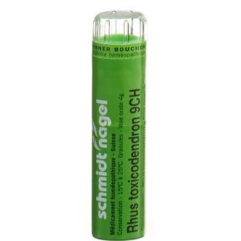 SN Rhus Toxicodendron Gran CH 9 4 g