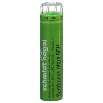 SN Sambucus nigra Gran CH 5 4 g