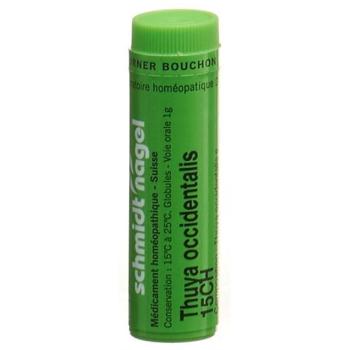 SN Thuya occidentalis Glob CH 15 1 g