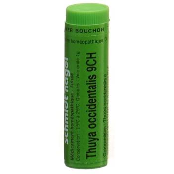 SN Thuya occidentalis Glob CH 9 1g