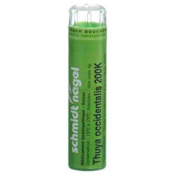 SN Thuya occidentalis Gran 200K 4 g