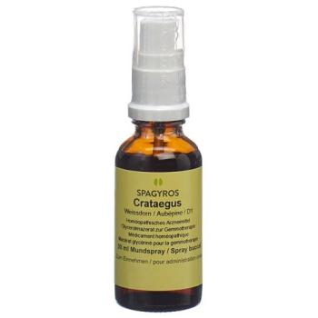 Spagyros Gemmo Crataegus laevi Glyc Maz D 1 30 ml