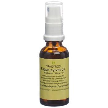 Spagyros Gemmo Fagus sylvatica Glyc Maz D 1 30 ml