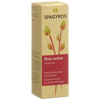 Spagyros Gemmo Rosa canina Glyc Maz D 1 30 ml