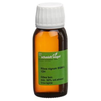 SN Ribes nigrum BG Glyc Maz DH 1 60ml
