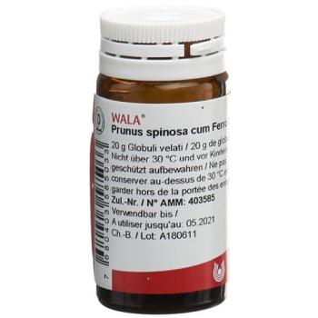 Wala Prunus spinosa ferm c Ferro Glob D 3 20 g