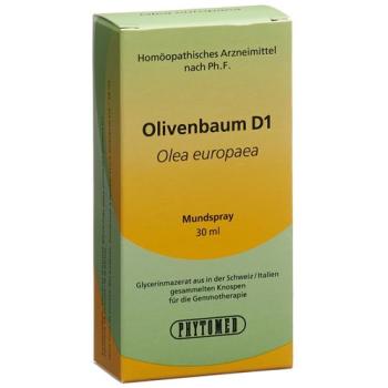 PHYTOMED GEMMO Olive Tree liq D 1 Spr 30 ml