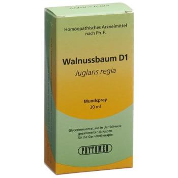 PHYTOMED GEMMO walnut tree liq D 1 Spr 30 ml