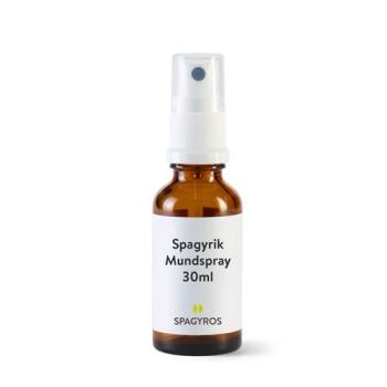 Spagyros Spagyrik Ginkgo biloba Spr 30 ml