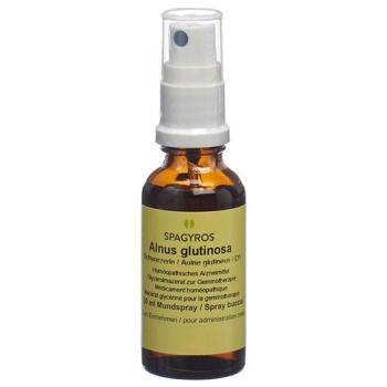 Spagyros Gemmo Alnus glutinosa Glyc Maz D 1 30 ml