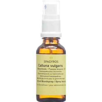 Spagyros Gemmo Calluna vulgaris Glyc Maz D 1 30 ml