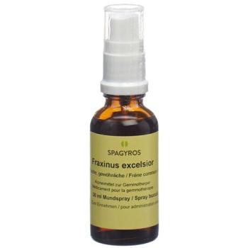 Spagyros Gemmo Fraxinus excelsior Glyc Maz D 1 30 ml