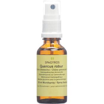 Spagyros Gemmo Quercus robur Glyc Maz D 1 30 ml