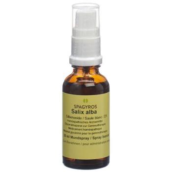 Spagyros Gemmo Salix alba Glyc Maz D 1 30 ml