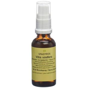 Spagyros Gemmo Vitis vinifera Glyc Maz D 1 30 ml