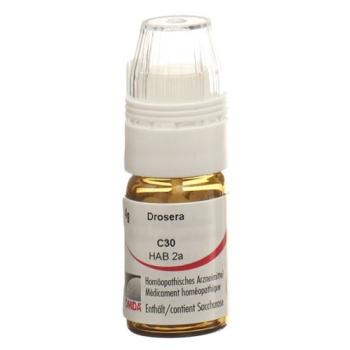 Omida Drosera Glob C 30 with dosing aid 4 g