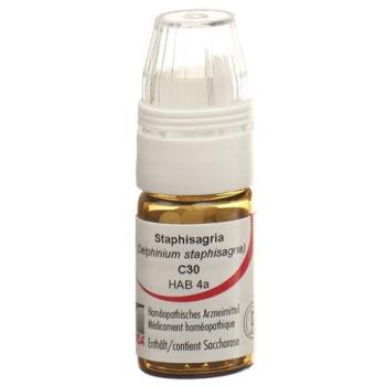 OMIDA Staphysagria Glob C 30 m dosing aid