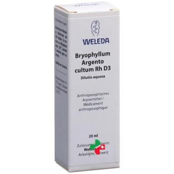 Weleda Bryophyllum Argento cultum Rh D 3 Dilutio aquosa 20 ml