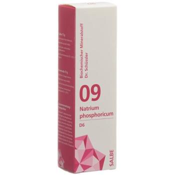 PHYTOMED SCH&Uuml;SSLER Nr9 sodium phosphoricum ointment D 6 500 g