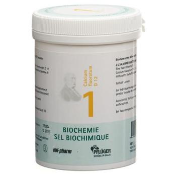 Pfluger Sch&uuml;ssler Nr1 Calcium fluoratum Tabl D 12 250 g