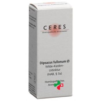 Ceres Dipsacus fullonum mother tint bottle 20 ml