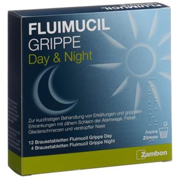 Fluimucil Flu Day Night Effervescent Tablet 16 pcs