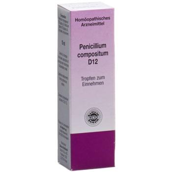 Sanum Penicillium Compositum Tropfen D 12 10мл