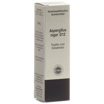 Sanum Aspergillus niger drops D 12 10 ml