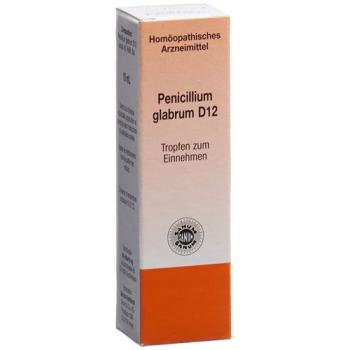 SANUM Penicillium glabrum drops D 12 10 ml