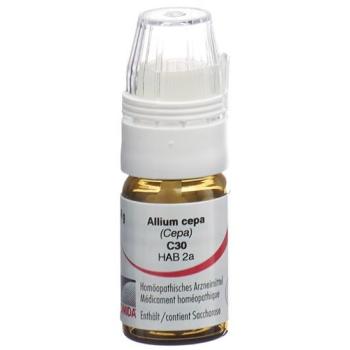 Omida Allium cepa Glob C 30 with dosing aid 4 g