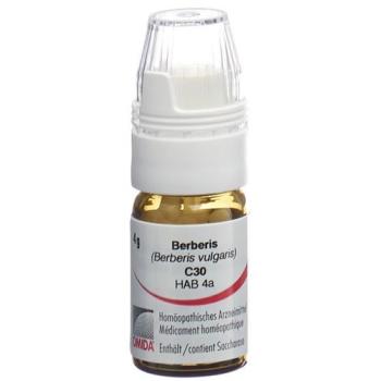 Omida Berberis Glob C 30 with dosing aid 4 g