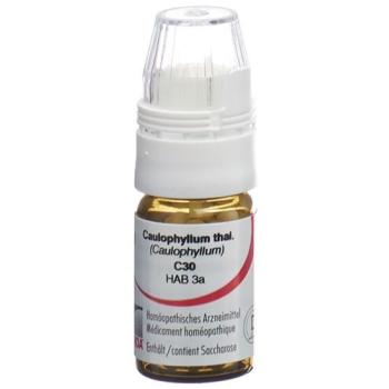 Omida Caulophyllum Glob C 30 with dosing aid 4 g