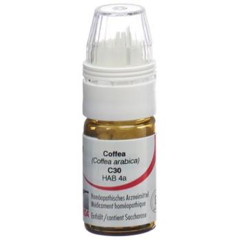 Omida Coffea Glob C 30 m dosing aid 4 g