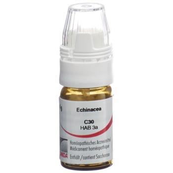 Omida Echinacea Glob C 30 with dosing aid 4 g