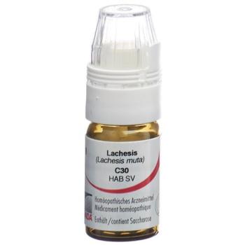 Omida Lachesis Glob C 30 with dosing aid 4 g
