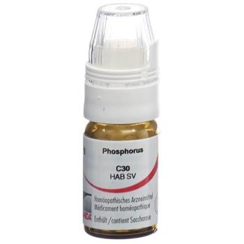 Omida Phosphorus Glob C 30 with dosing aid 4 g