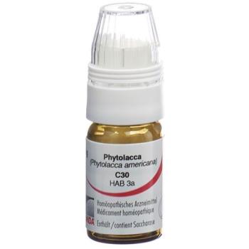 Omida Phytolacca Glob C 30 with dosing aid 4 g