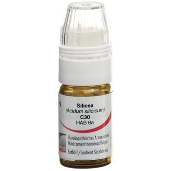 Omida Silicea Glob C 30 with dosing aid 4 g