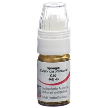 Omida Spongia Glob C 30 with dosing aid 4 g