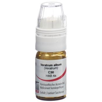 Omida Veratrum album Glob C 30 with dosing aid 4 g