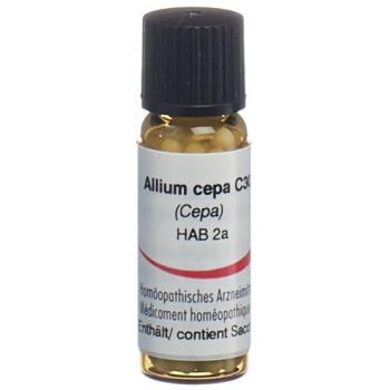 Omida Allium cepa Glob C 30 2g
