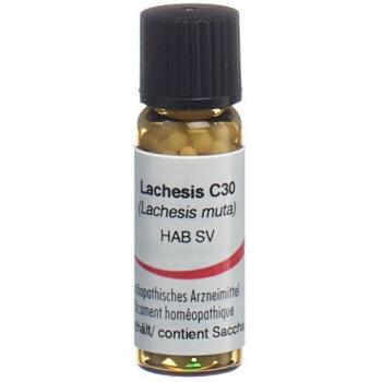 Omida Lachesis Glob C 30 2g
