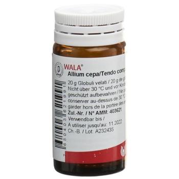 Wala Allium cepa/Tendo comp. Glob bottle 20 g