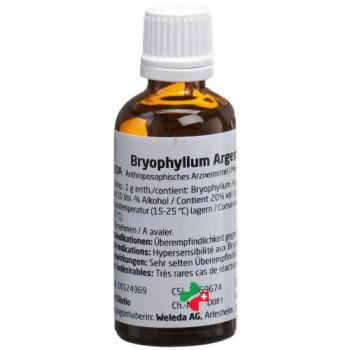 Weleda Bryophyllum Argento Cultum Dil D 2 50 ml