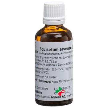 Weleda Equisetum arvense Silicea cultum Dil D 2 50 ml