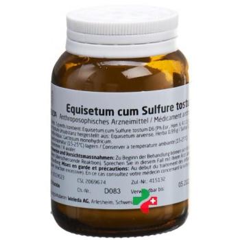 Weleda Equisetum cum Sulfur tostum Trit D 6 50 g