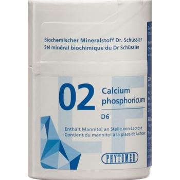 PHYTOMED SCH&Uuml;SSLER Nr2 Tabl D 6 lactose-free 2000 pcs